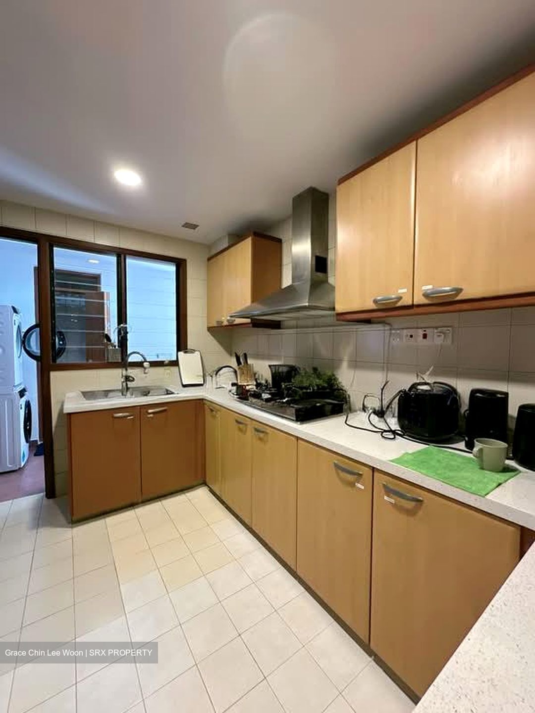 Carissa Park Condominium (D17), Condominium #602340271